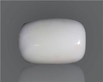 Natural White Coral  13.79 CTS (50244)